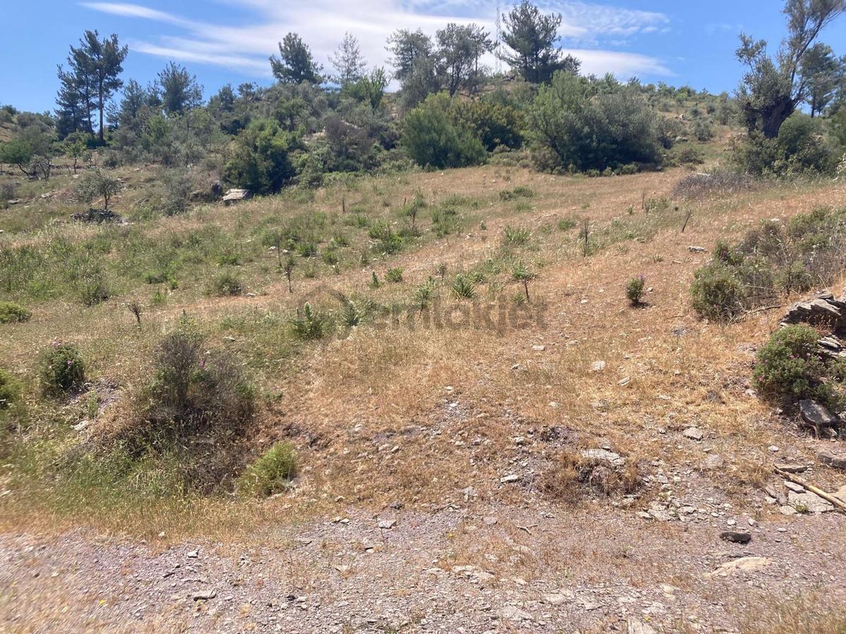 Muğla Bodrum Satılık Kelepir Tarla - 4