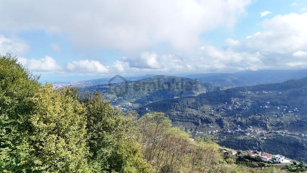 Trabzon Akçaabat Helvacıda Satılık Arsa - 10