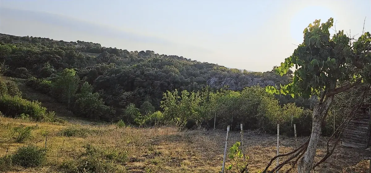 12000m Villa İmarlı Ceviz Bahcefırsat - 5