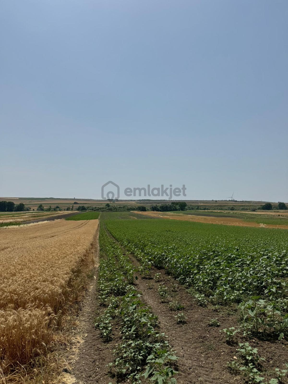 Silivri Seymen'de 5.700 M2 Satılık Tarla
