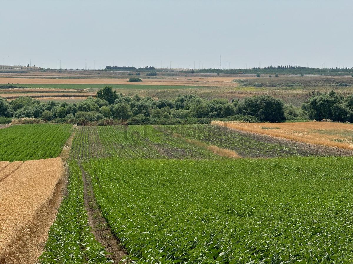 Silivri Seymen'de 5.700 M2 Satılık Tarla - 7