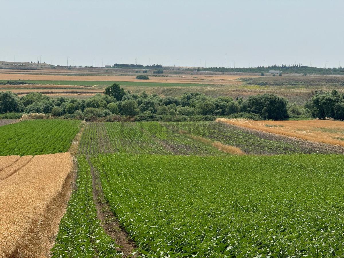 Silivri Seymen'de 5.700 M2 Satılık Tarla - 3
