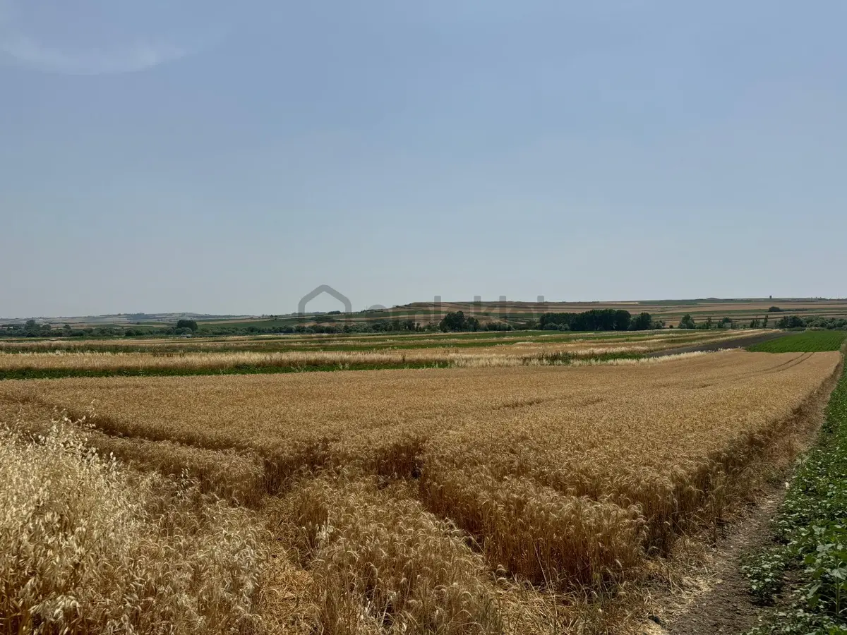 Silivri Seymen'de 5.700 M2 Satılık Tarla - 4