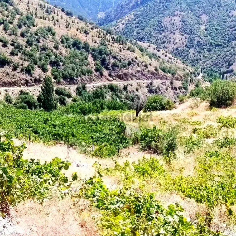 Kar Emlaktan Ömerli Köyünde 1400 M2 Satılık Bahçe - 14