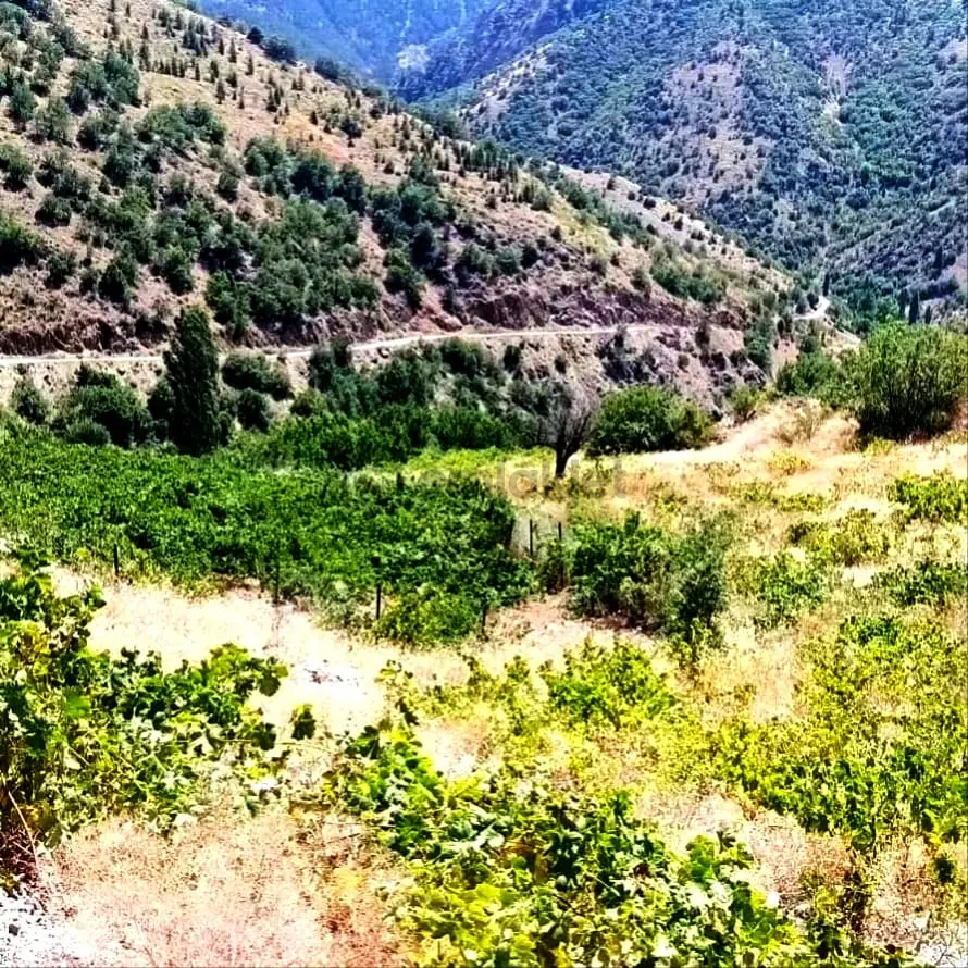 Kar Emlaktan Ömerli Köyünde 1400 M2 Satılık Bahçe - 4