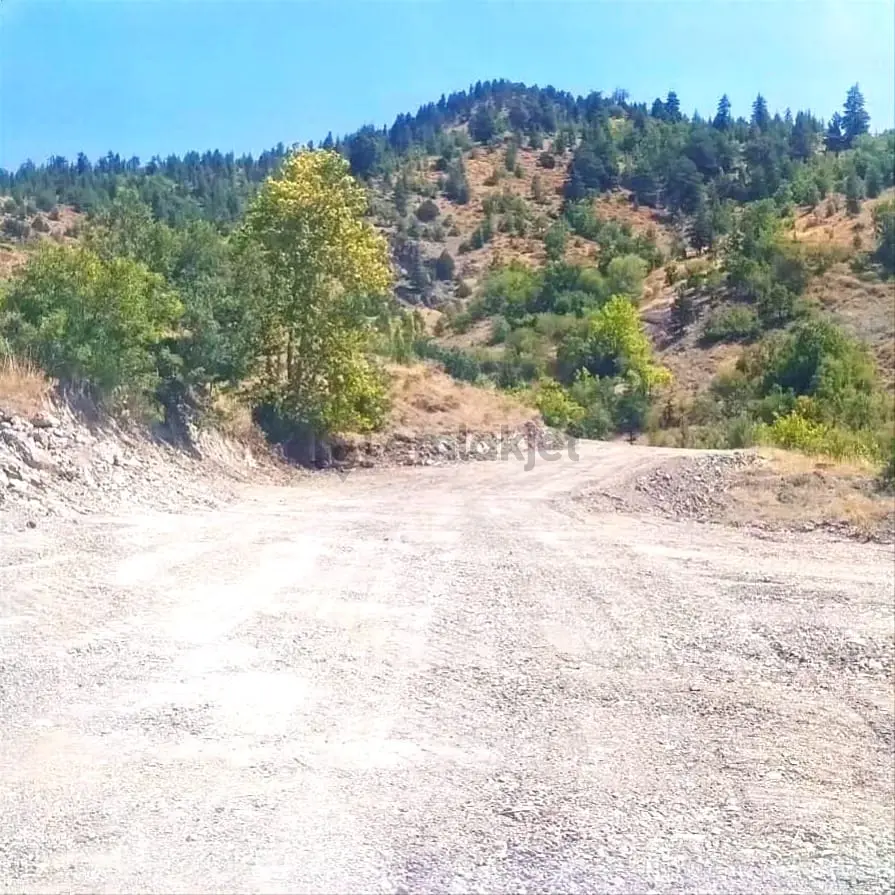Kar Emlaktan Ömerli Köyünde 1400 M2 Satılık Bahçe - 3