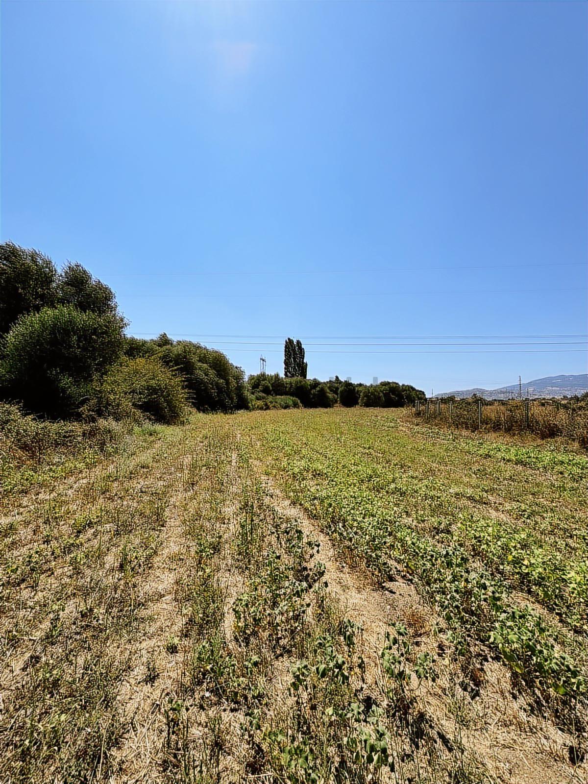 Satılık 6,234 M2 Düz Yolu Olan Tarla - 2