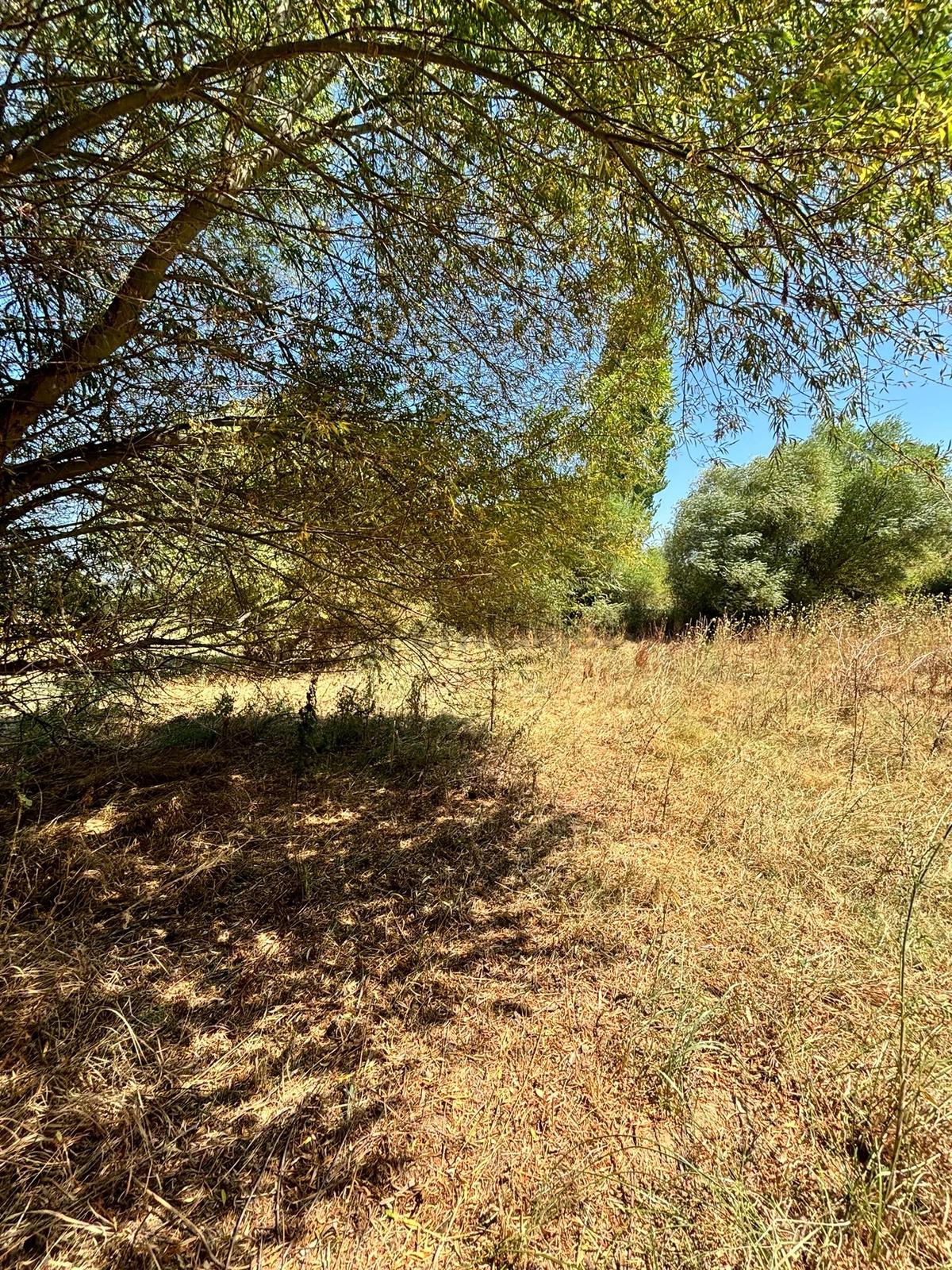 Satılık 6,234 M2 Düz Yolu Olan Tarla - 8