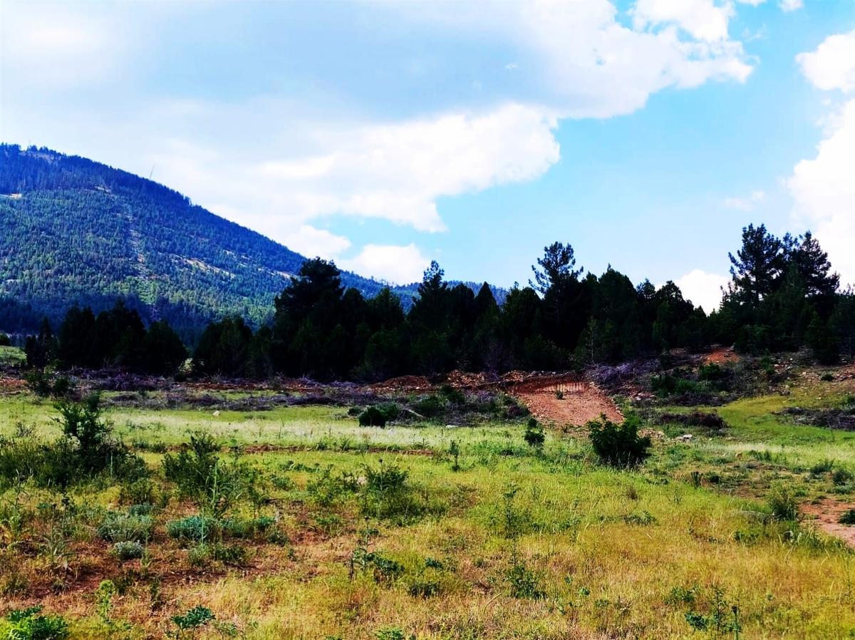 Kar Emlaktan Alpu Radar Yolunda 400 M2 Satılık Arsa - 18