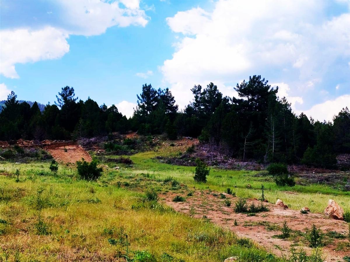 Kar Emlaktan Alpu Radar Yolunda 400 M2 Satılık Arsa - 12