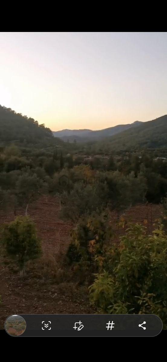 Fethiye Çenger Mah.ilkon'dan Satılık Tarla - 10