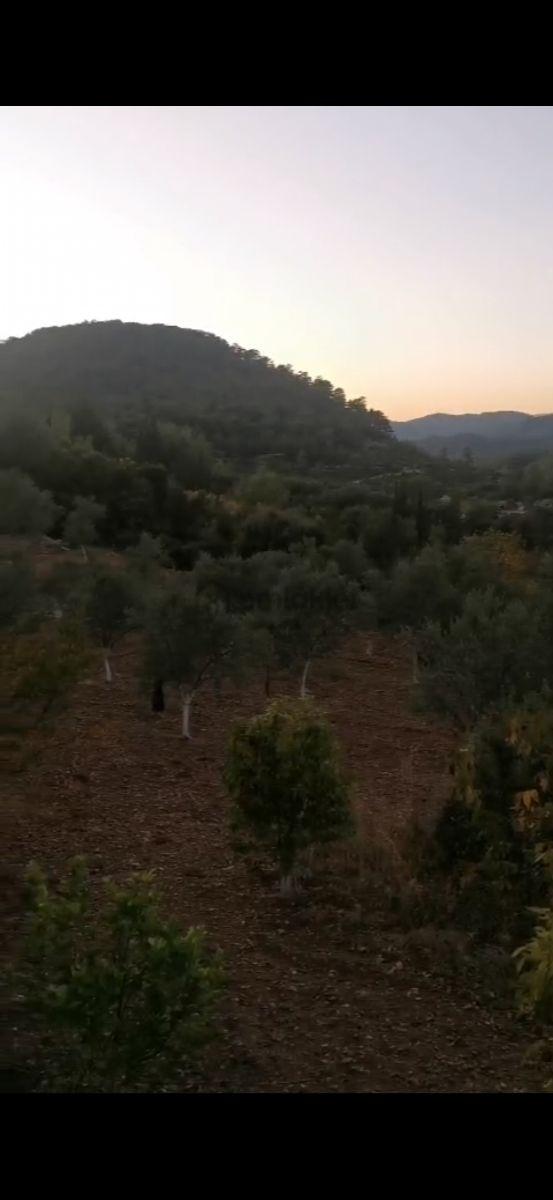 Fethiye Çenger Mah.ilkon'dan Satılık Tarla - 3