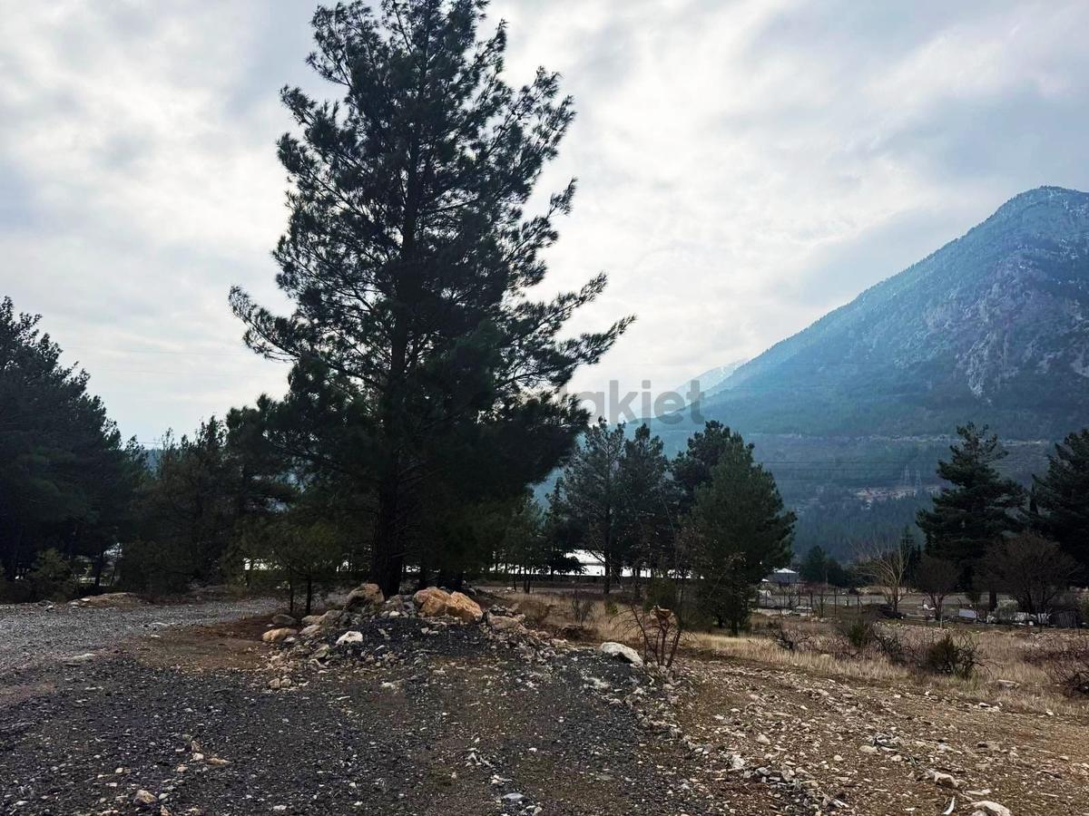 Kar Emlaktan Alpu Yaylasında 400 M2 Satılık Arsa - 4