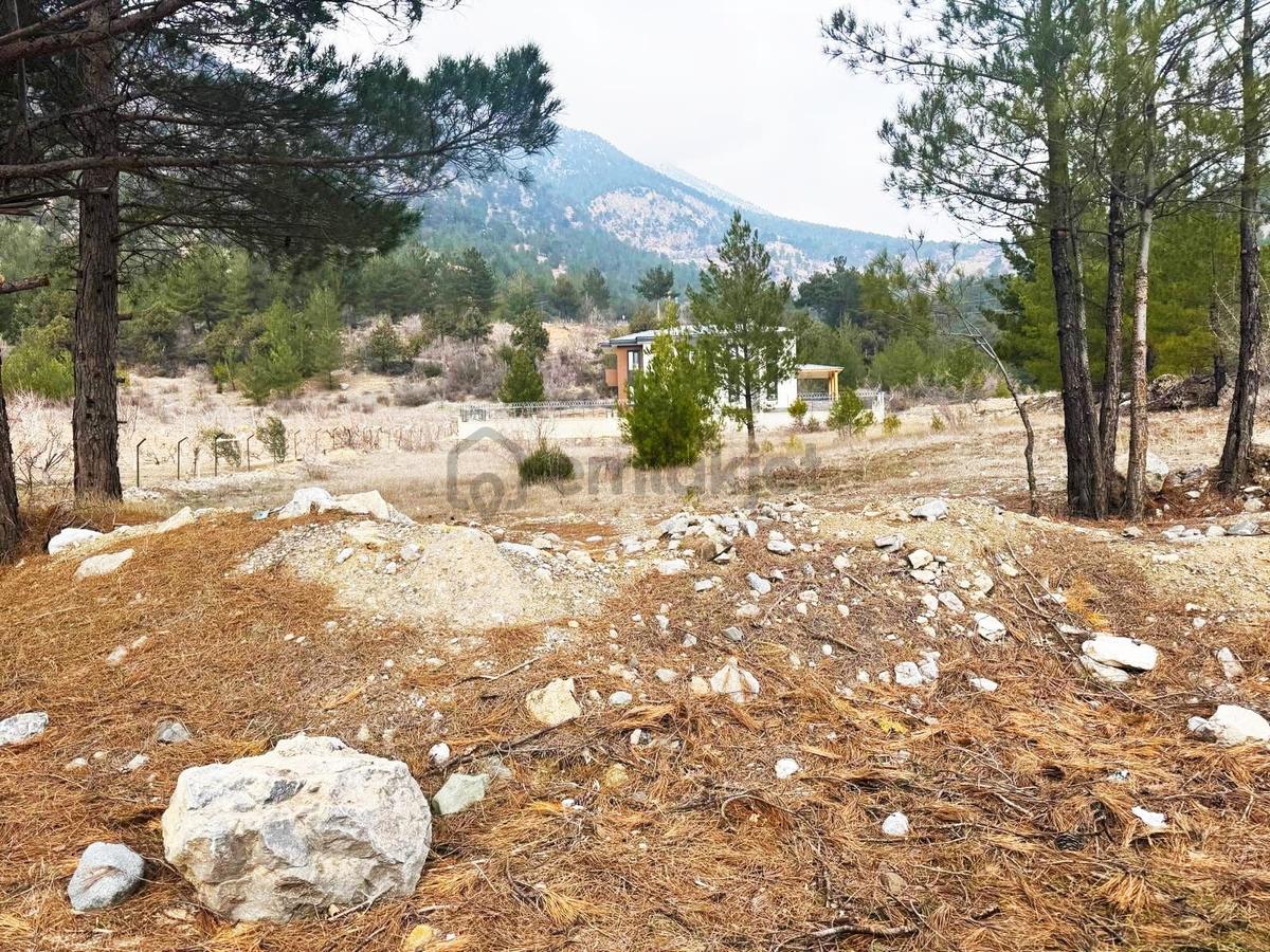 Kar Emlaktan Alpu Yaylasında 400 M2 Satılık Arsa - 11