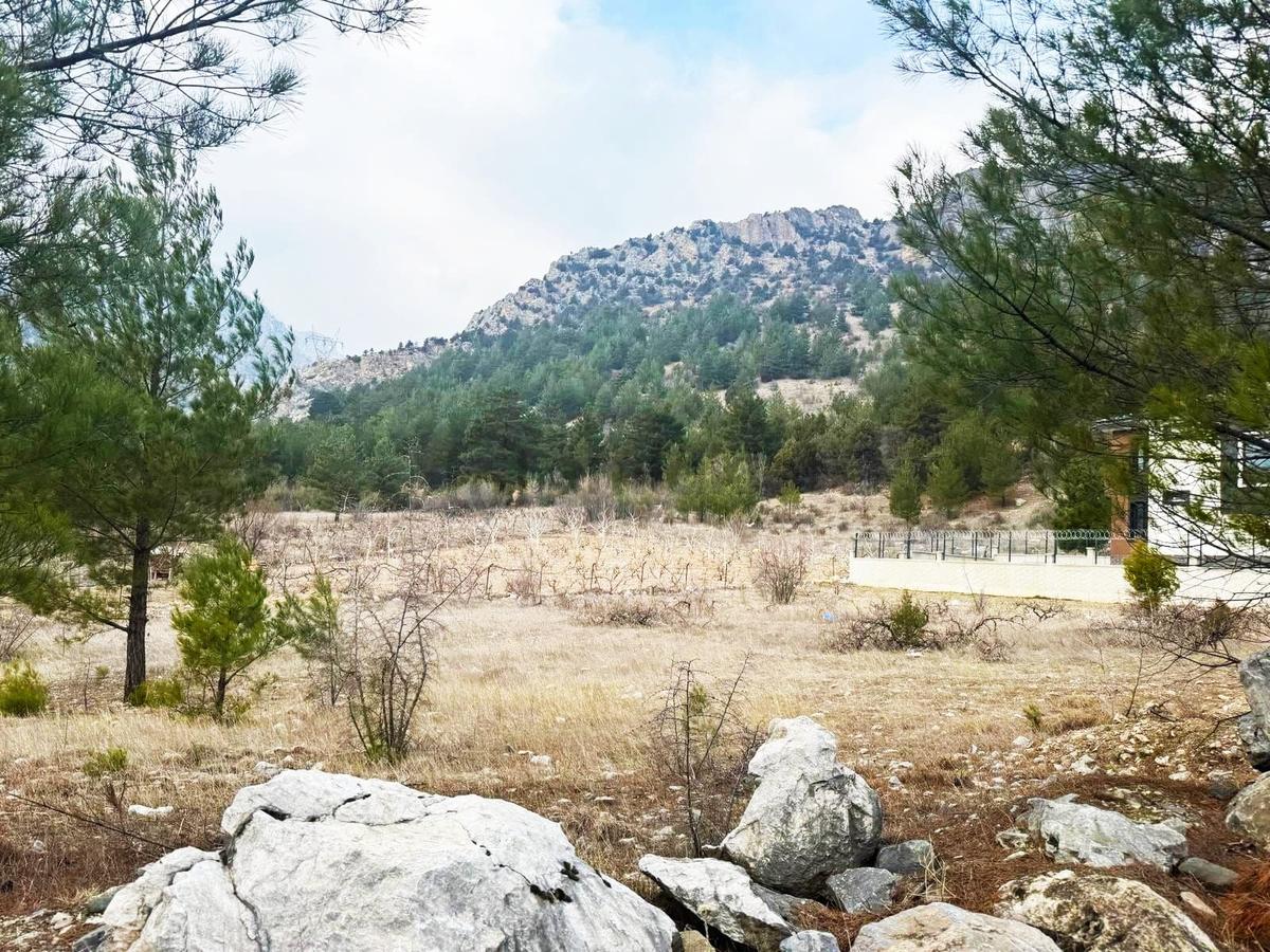 Kar Emlaktan Alpu Yaylasında 400 M2 Satılık Arsa - 20