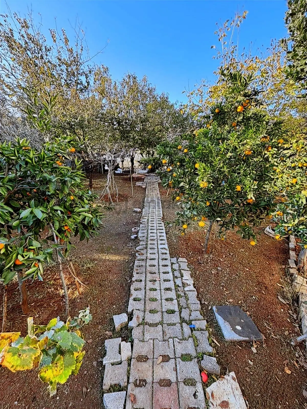 Uçan'dan Yenişehir 540m2 İçerisinde Villa+ 2+1 Ev - 15