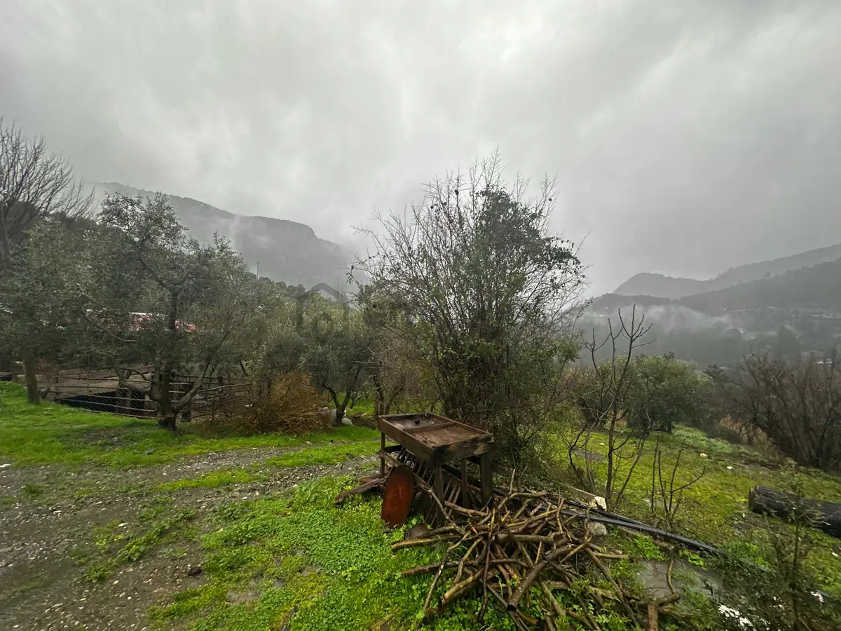 Muğla Dalaman Gürleyik'te Satılık Tarla - 18