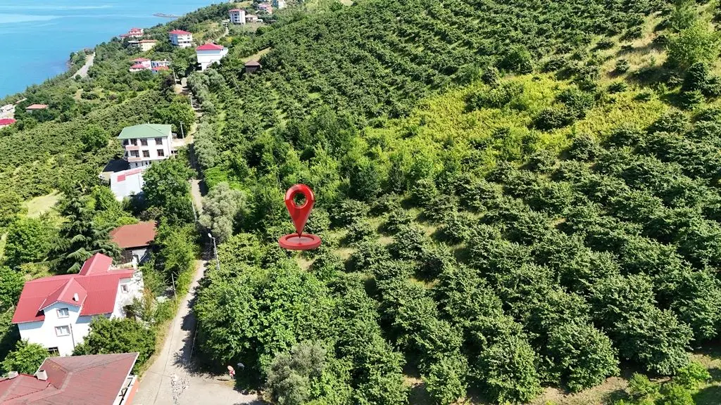 Trabzon Akçaabat Zeytinlikte Satılık Arsalar - 10