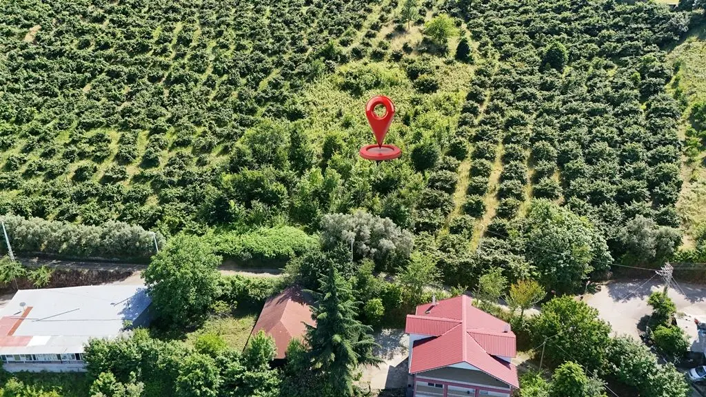 Trabzon Akçaabat Zeytinlikte Satılık Arsalar - 7