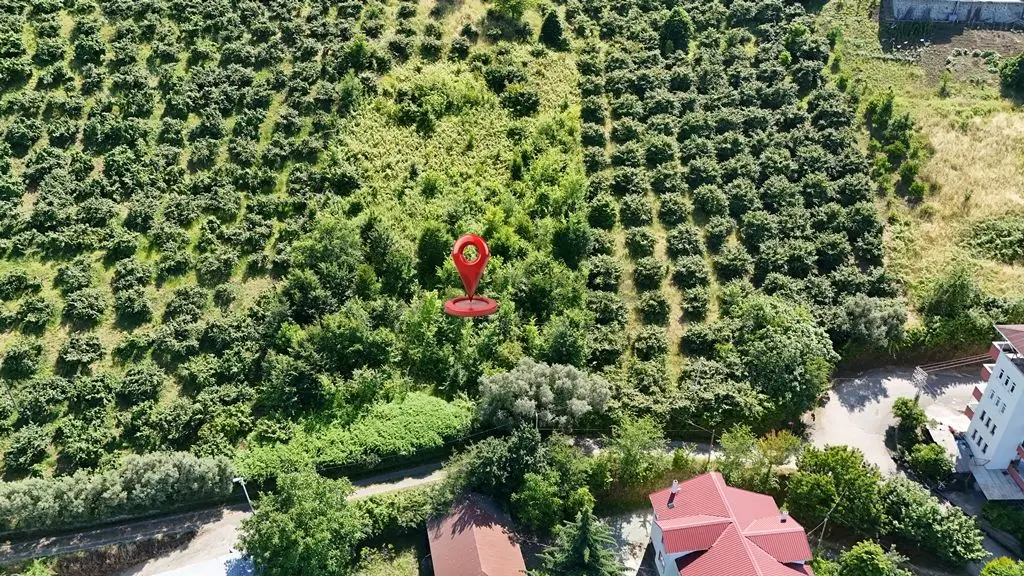 Trabzon Akçaabat Zeytinlikte Satılık Arsalar - 8