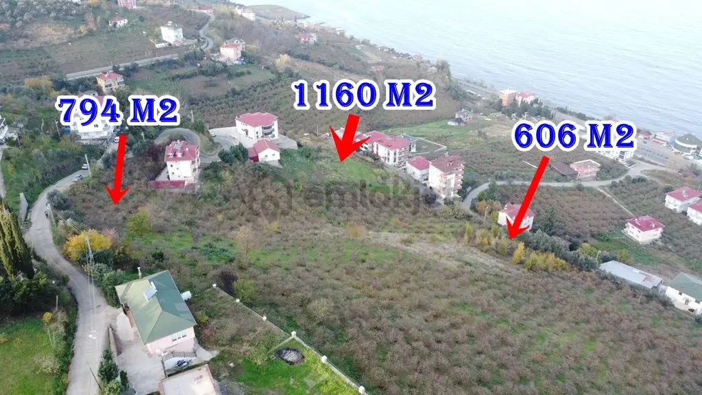 Trabzon Akçaabat Zeytinlikte Satılık Arsalar - 18