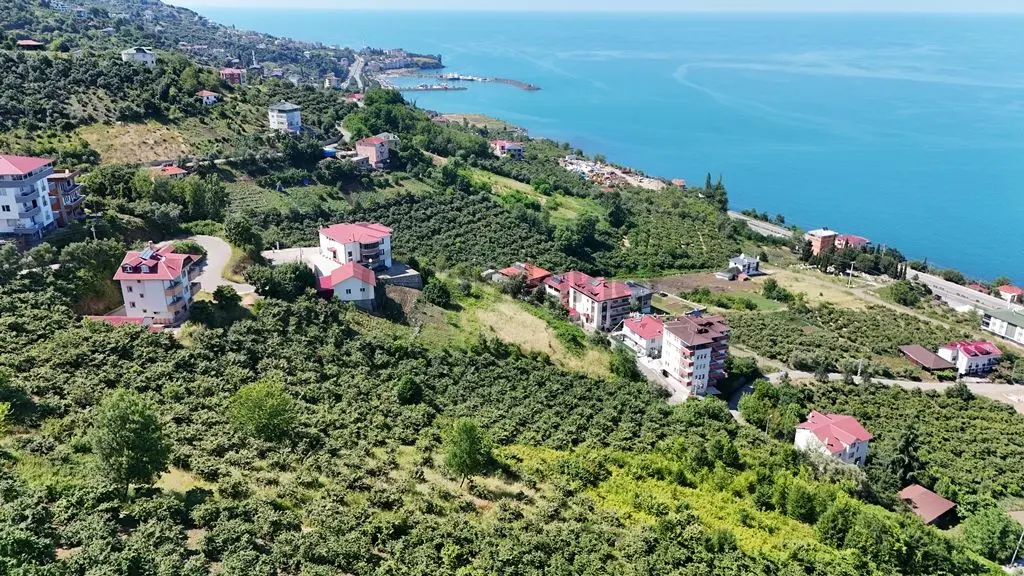 Trabzon Akçaabat Zeytinlikte Satılık Arsalar - 11