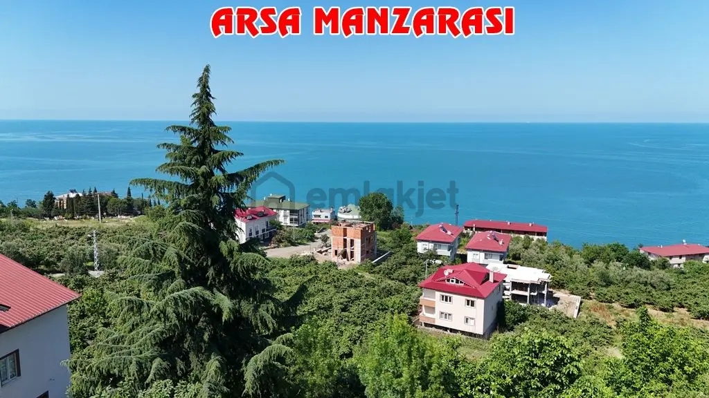 Trabzon Akçaabat Zeytinlikte Satılık Arsalar - 16