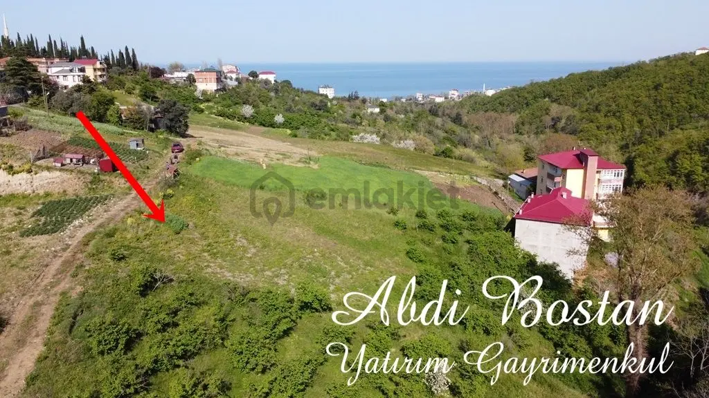 Trabzon Akçaabat Darıcada Satılık Arazi​ - 9
