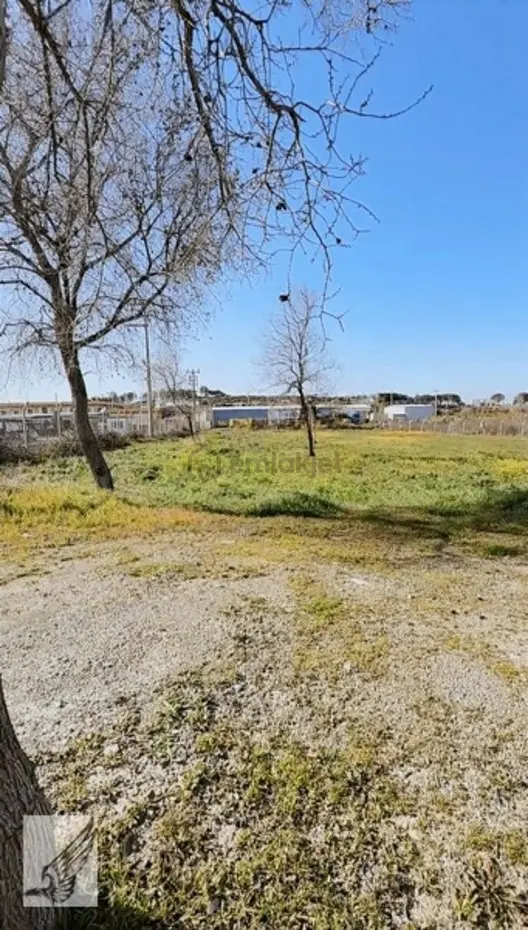 Seferihisarda Akarca'da 2+1 Resmi Evi Olan 3dönüm Tarla - 6