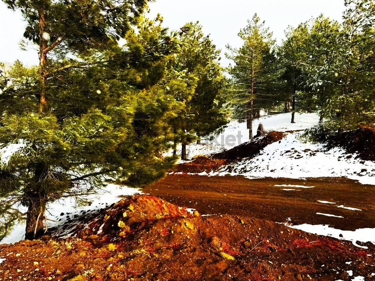 Kar Emlaktan Alpu Yaylasında 500 M2 Satılık Arsa - 10