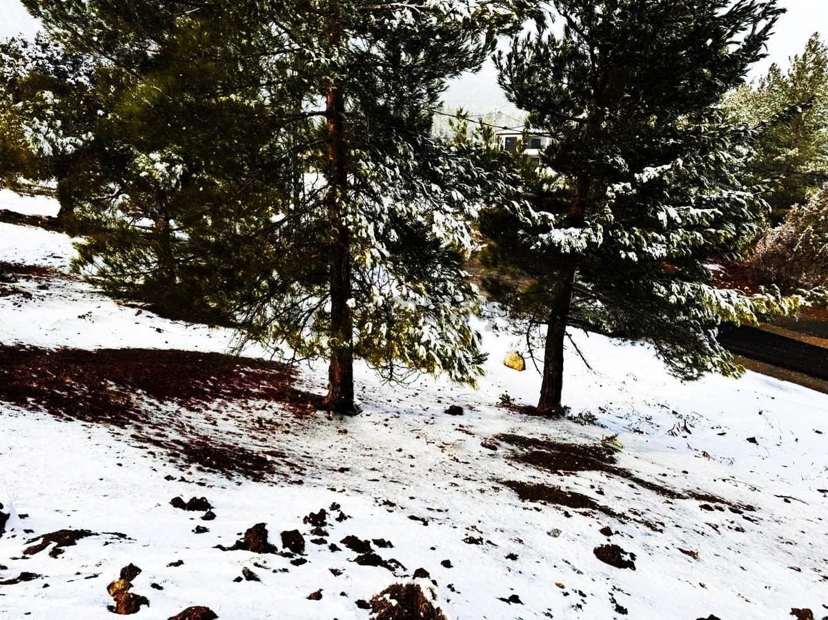 Kar Emlaktan Alpu Yaylasında 500 M2 Satılık Arsa - 9
