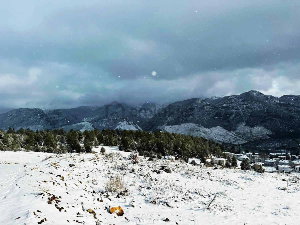 Kar Emlaktan Alpu Yaylasında 400 M2 Satılık Arsa - 16