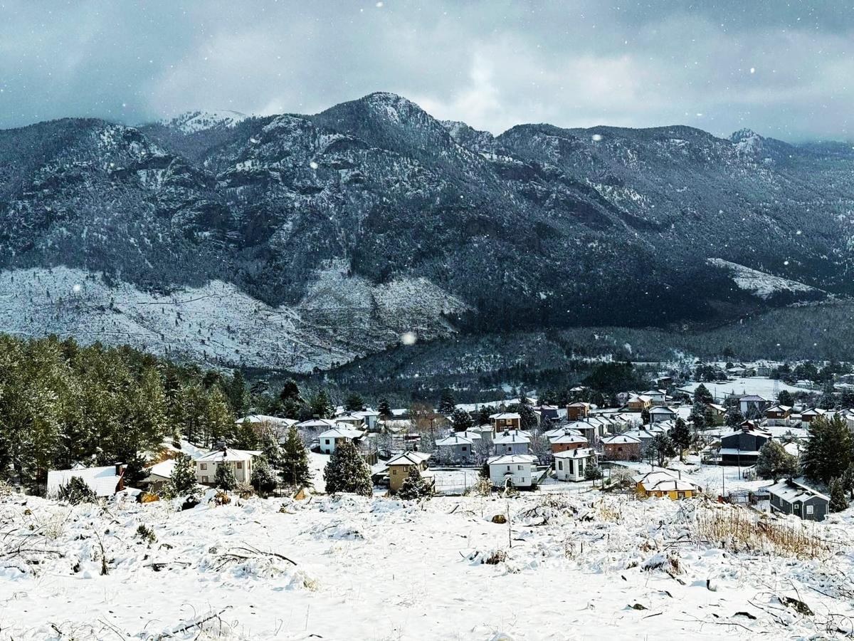 Kar Emlaktan Alpu Yaylasında 400 M2 Satılık Arsa - 14