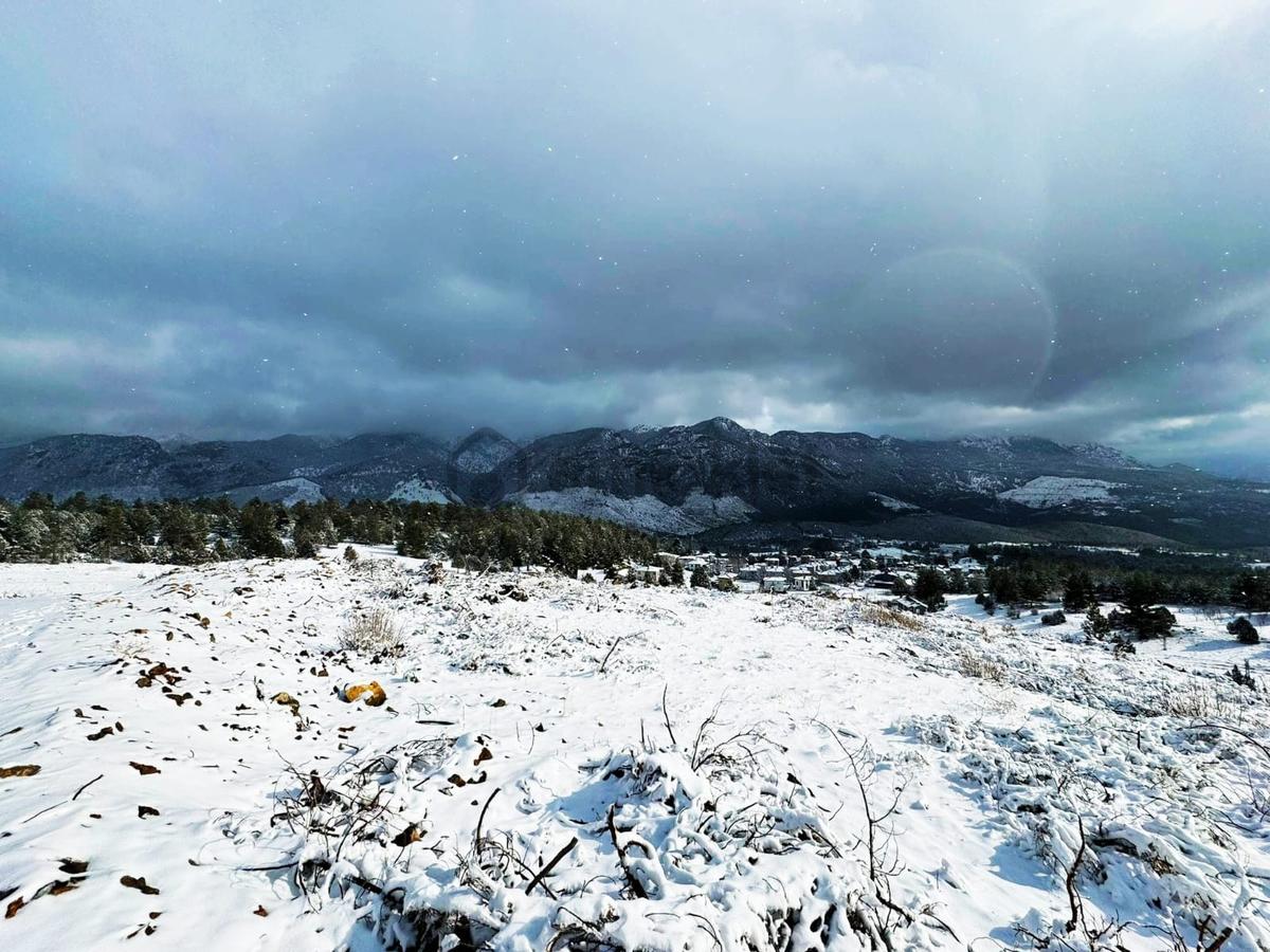 Kar Emlaktan Alpu Yaylasında 400 M2 Satılık Arsa - 8