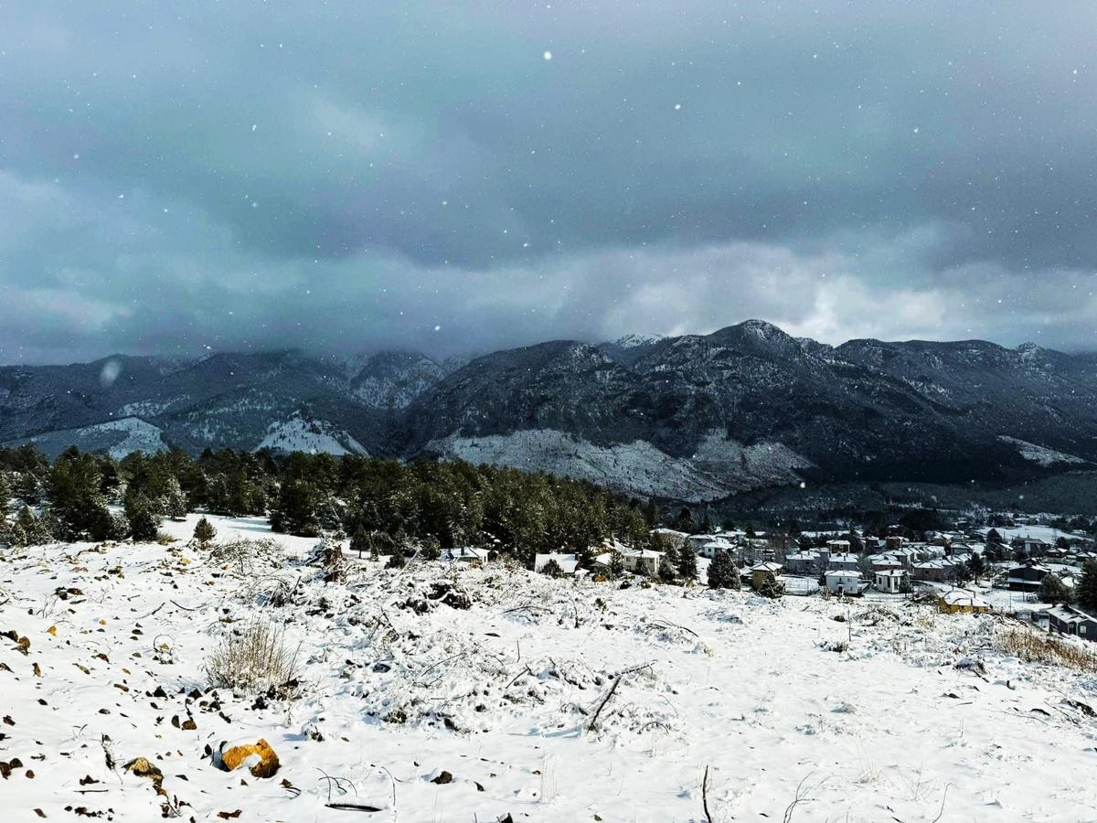 Kar Emlaktan Alpu Yaylasında 400 M2 Satılık Arsa - 21