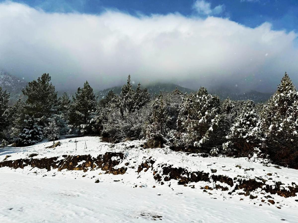 Kar Emlaktan Alpu Yaylasında 400 M2 Satılık Arsa - 27
