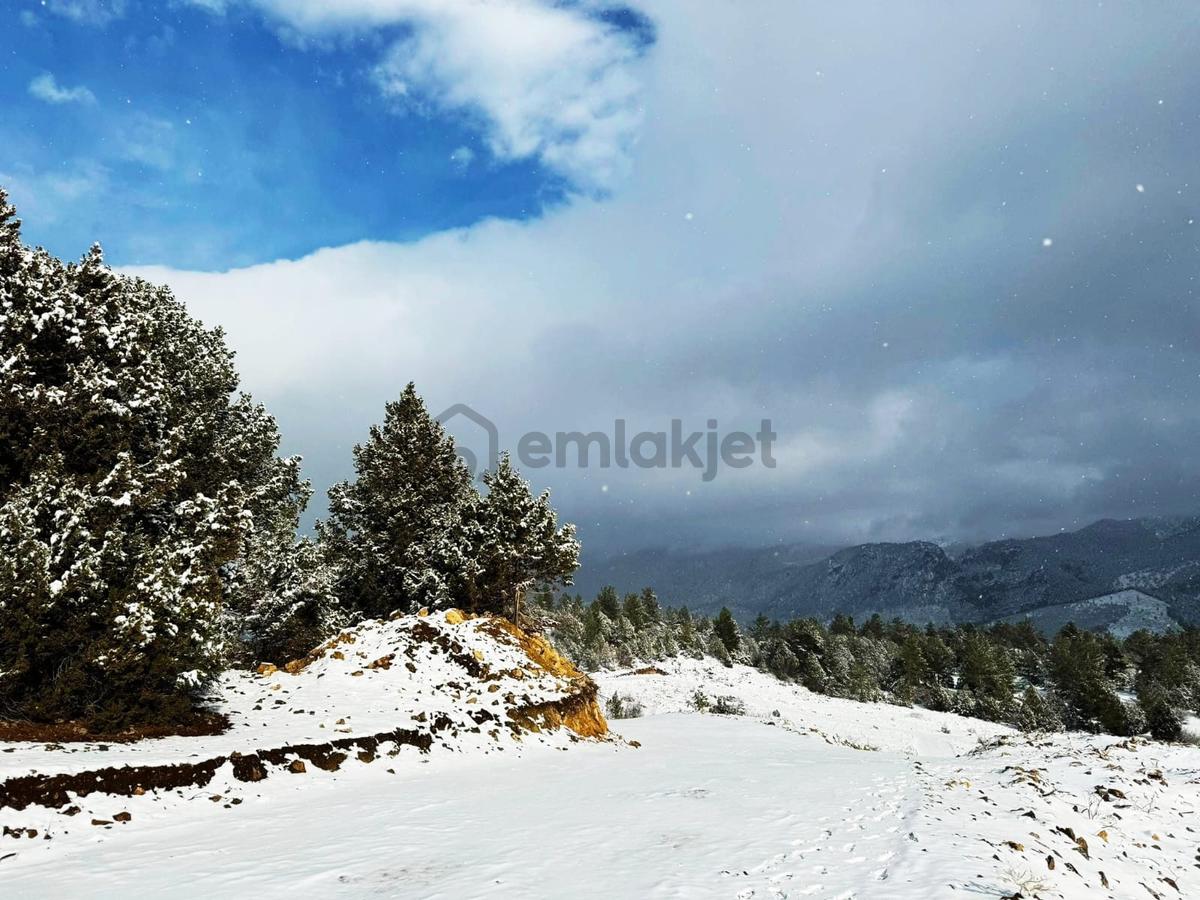 Kar Emlaktan Alpu Yaylasında 400 M2 Satılık Arsa - 6