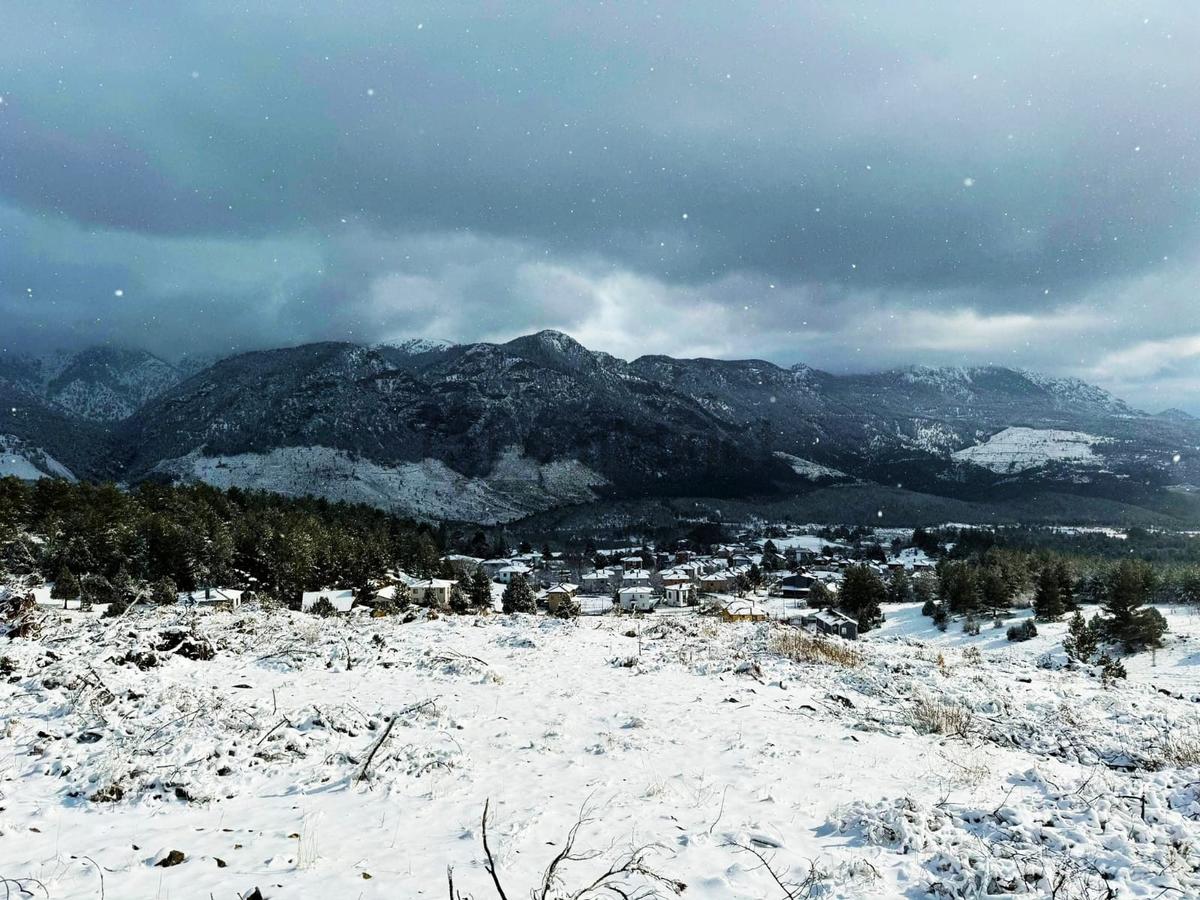 Kar Emlaktan Alpu Yaylasında 400 M2 Satılık Arsa - 25