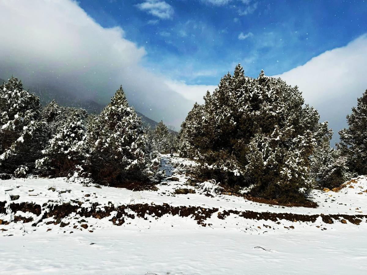 Kar Emlaktan Alpu Yaylasında 400 M2 Satılık Arsa - 9