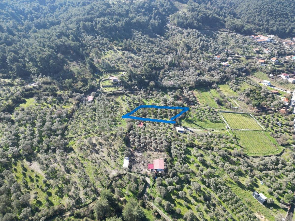 Kuşadası Kirazlıda Harika Bahçe - 6