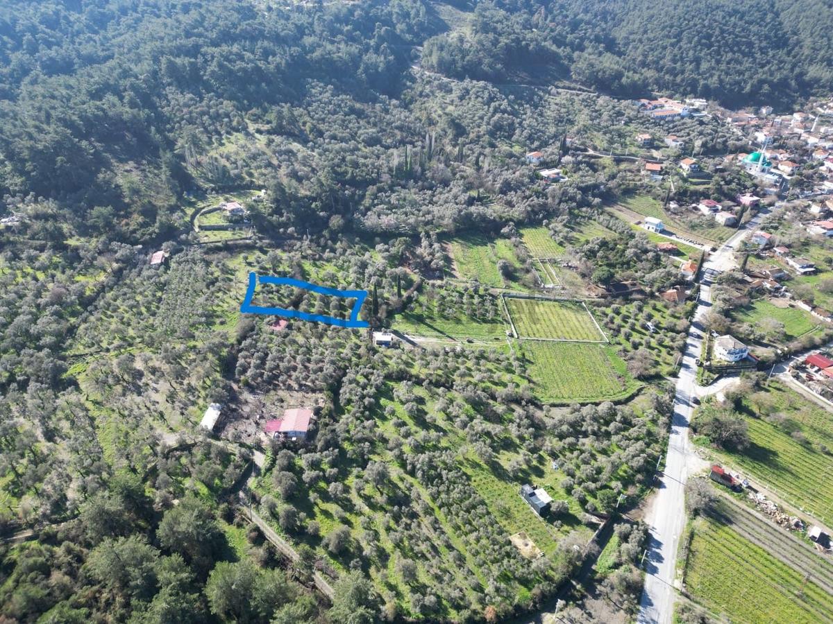 Kuşadası Kirazlıda Harika Bahçe - 8