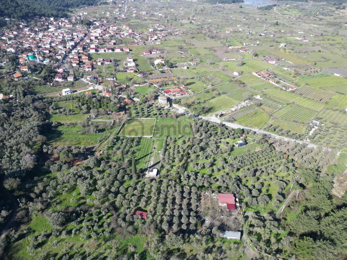 Kuşadası Kirazlıda Harika Bahçe - 23