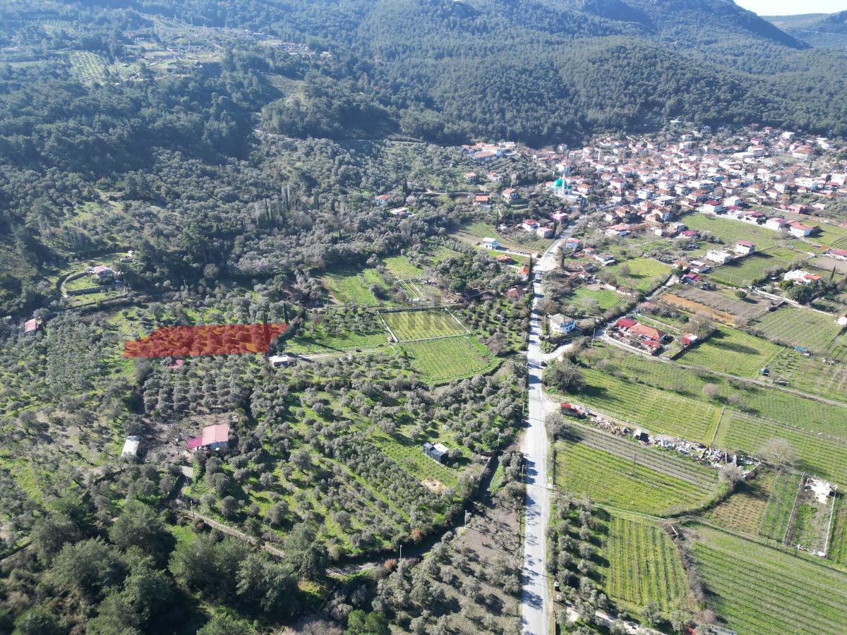 Kuşadası Kirazlıda Harika Bahçe - 14