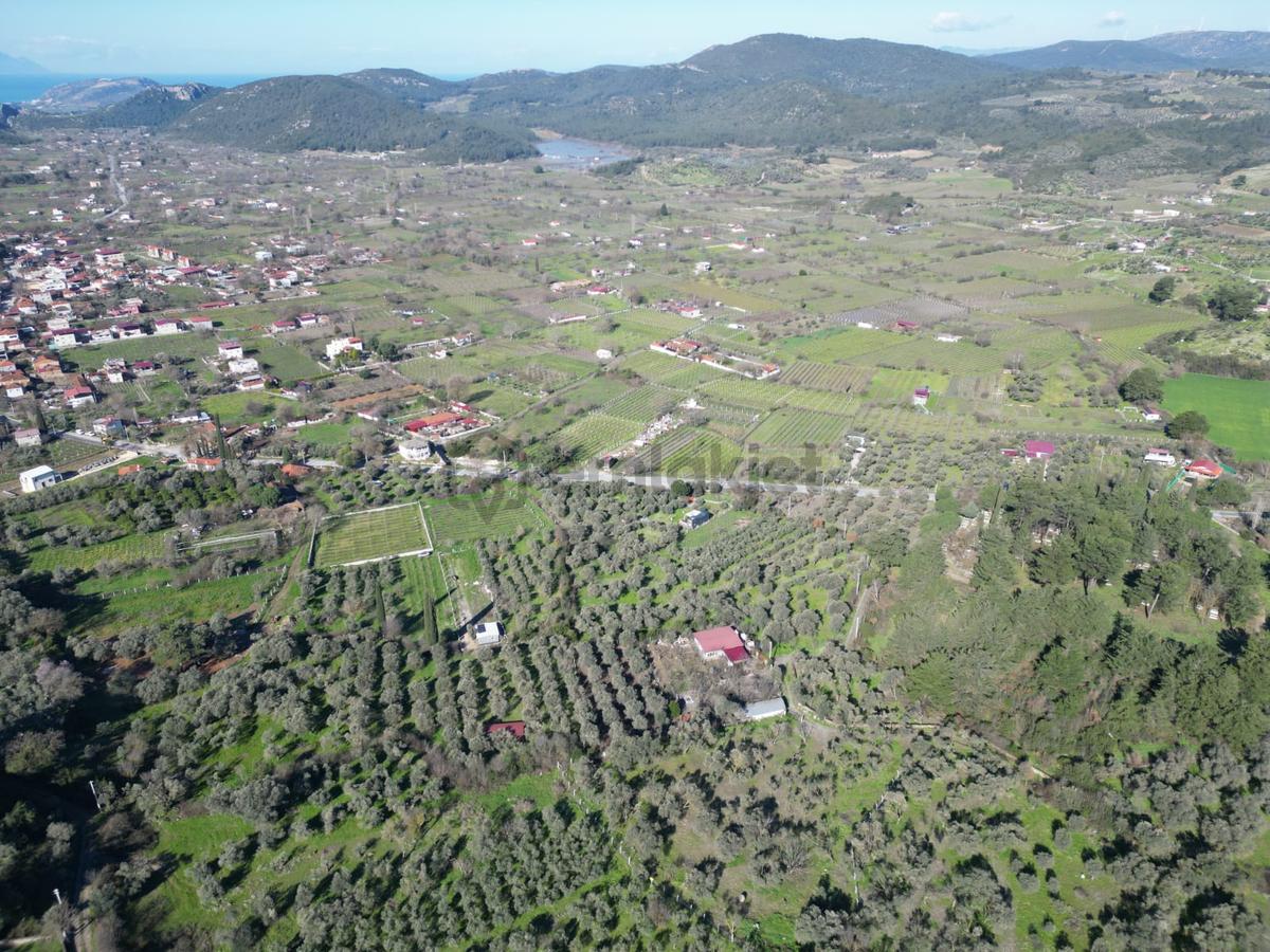 Kuşadası Kirazlıda Harika Bahçe - 15
