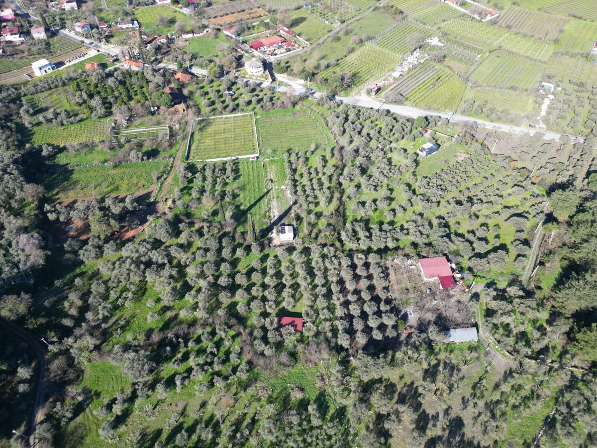 Kuşadası Kirazlıda Harika Bahçe - 16