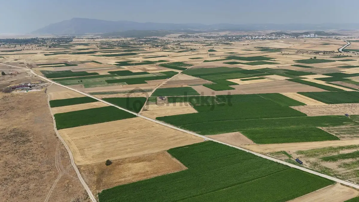 Afyonkarahisar Dazkırı Asfalta Sıfır Konumda3550 M2 - 21