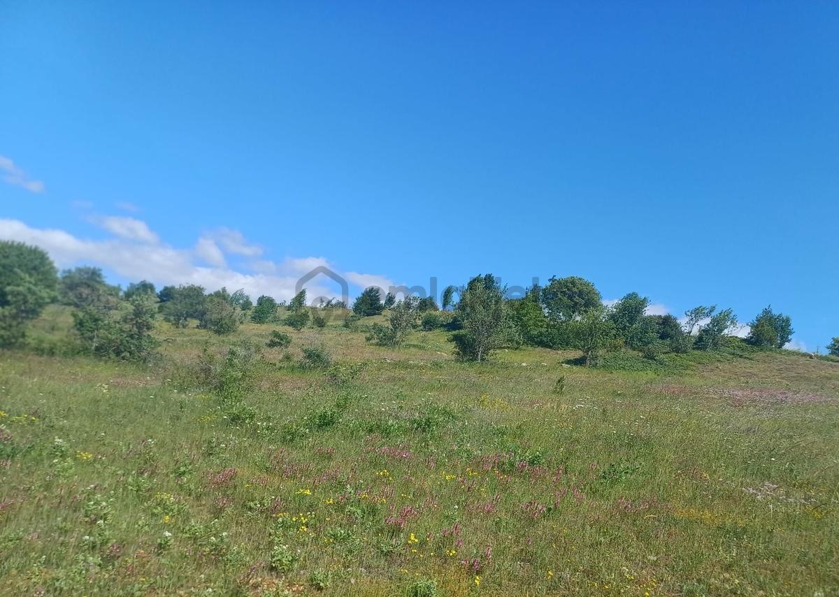 Tokat Reşadiye'de Satılık Tarla - 14