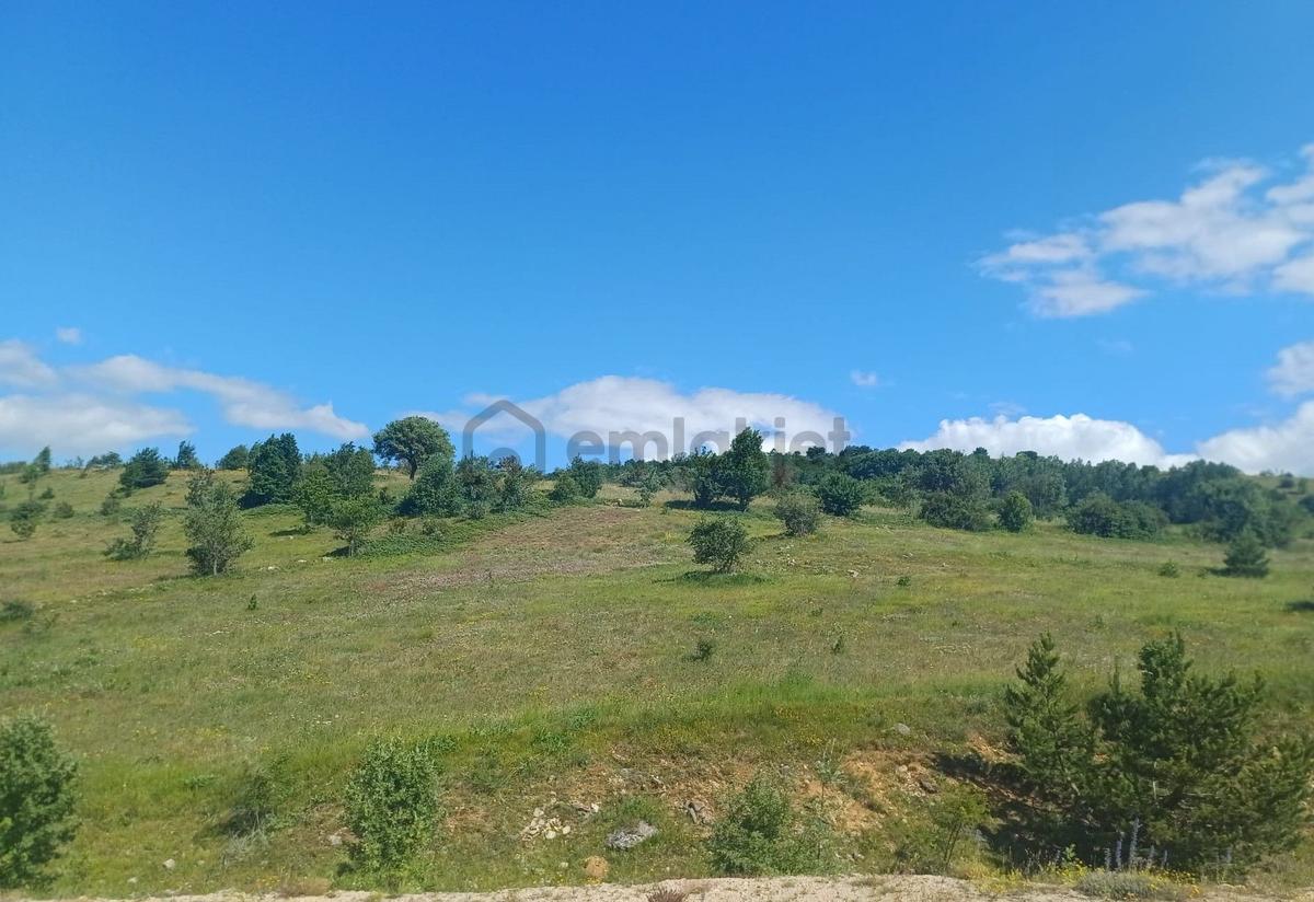 Tokat Reşadiye'de Satılık Tarla - 4