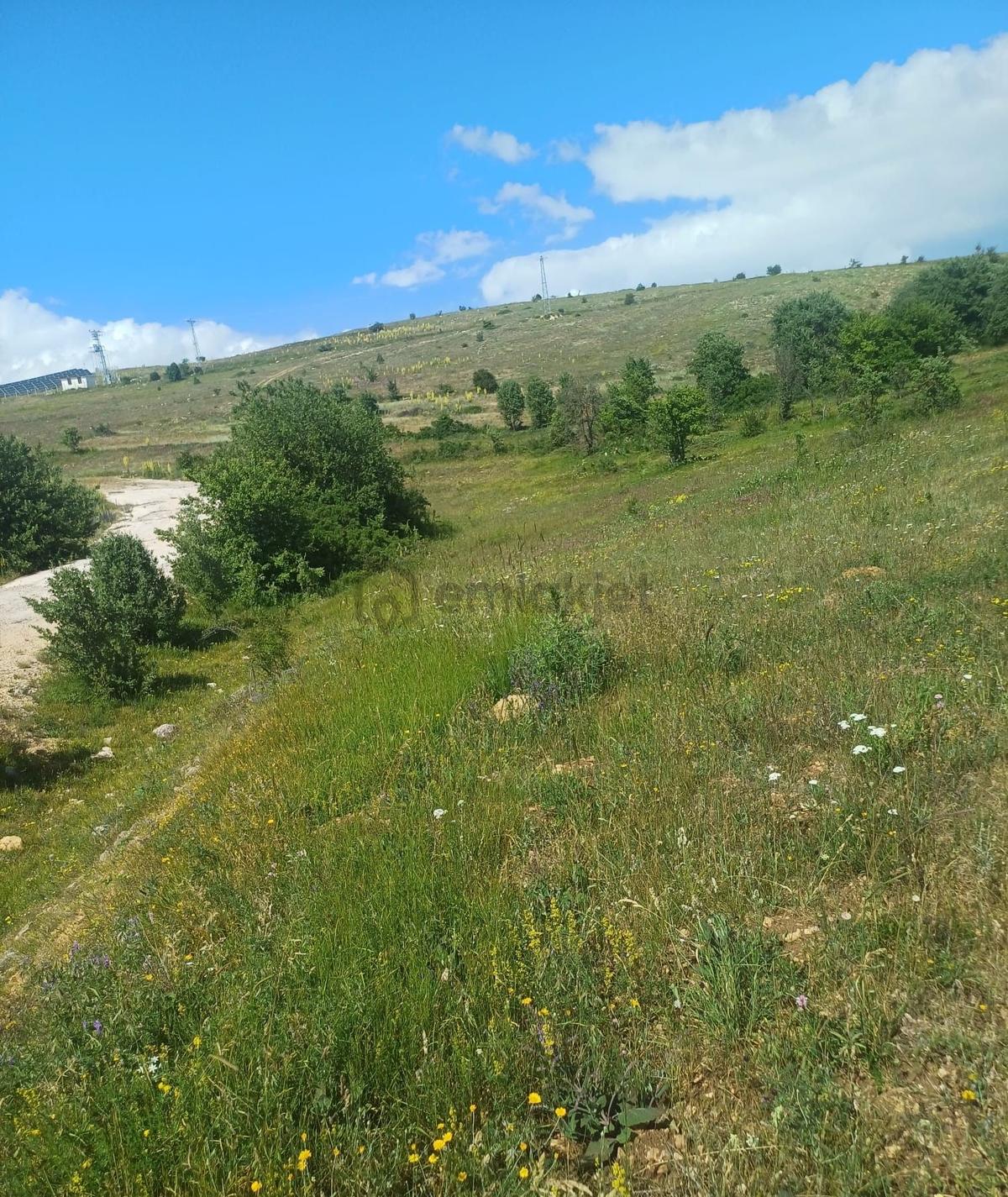 Tokat Reşadiye'de Satılık Tarla - 17