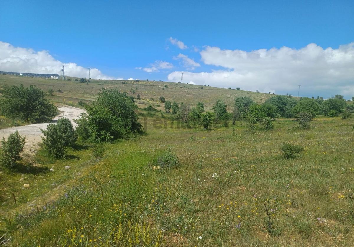 Tokat Reşadiye'de Satılık Tarla - 8